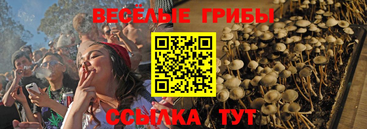 Новочеркасск  Галлюциногенные грибы ЛСД  Вход с VPN 